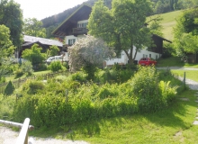Teich an der Sonnleiten in Wallgau am 13.06.2016