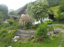 Teich an der Sonnleiten in Wallgau am 27.06.2016