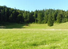Ochsenrennen Wallgau. Erstes Training am 20.07.2016
