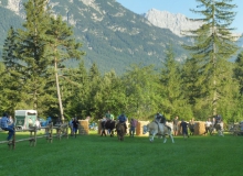 Ochsenrennen Wallgau. Erstes Training am 20.07.2016