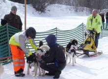 Schlittenhunderennen am 24. und 25.02.2018 in Wallgau. Das habt ihr fein gemacht, die Hunde werden in Empfang genommen.