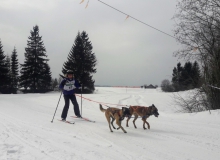 Schlittenhunderennen am 24. und 25.02.2018 in Wallgau. Startnummer 17 auf der Strcke.