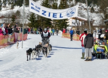 Schlittenhunderennen Wallgau 2019 (27)