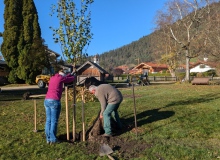 2024-10-29-Dorferneuerung-Wallgau-Kurpark-28