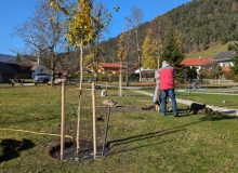 2024-10-29-Dorferneuerung-Wallgau-Kurpark-36