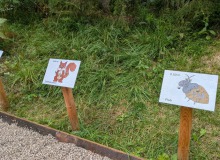 Maerchenweg-Wallgau-Weitsprung-002