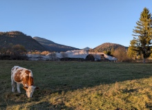 2025-11-07-Isarkies-Zwischenlagerung-2