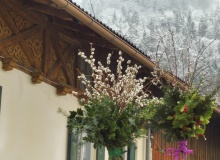 2019-04-14-Palmsonntag-6_Original