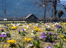 DSC09074-Kurpark-Wallgau