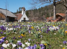 DSC09135-Kurpark-Wallgau