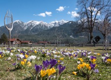 DSC09196-Kurpark-Wallgau