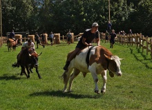 DSC09665-Ochsenrennen-Wallgau-Training-29.08.2026
