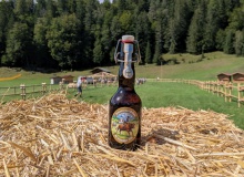 PXL_20260829_124901872-Ochsenrennen-Wallgau-Training-29.08.2026