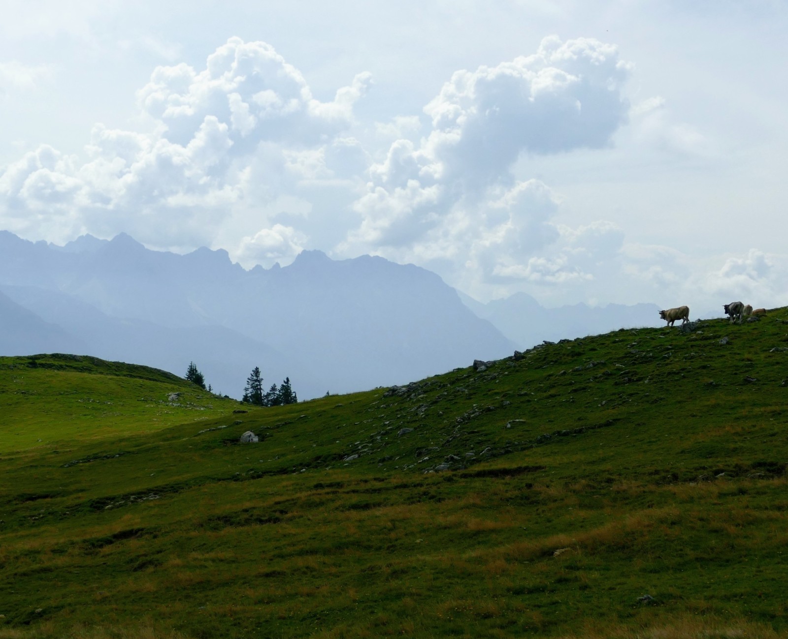 Ausblick auf das Karwendelgebirge