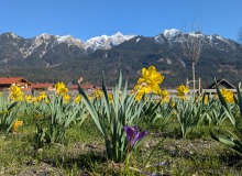 Frühling im Wallgauer Kurpark