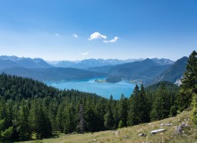 Aussicht von der Jocher Alm über den Walchensee auf das Wetterstein- und Karwendelgebirge