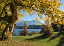 362_DSC06209-Ahorn-Barmsee-Herbst-002